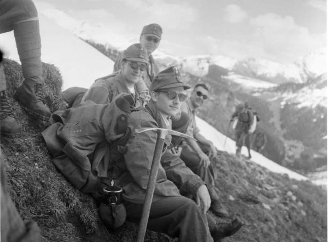 Gebirgsjäeger division e a edelweiss