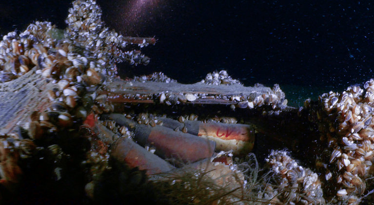 Munições no fundo do lago Genebra