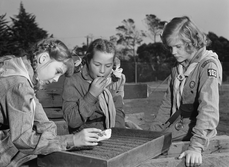 Quem foi Dewdrop Fairies na Guerra?