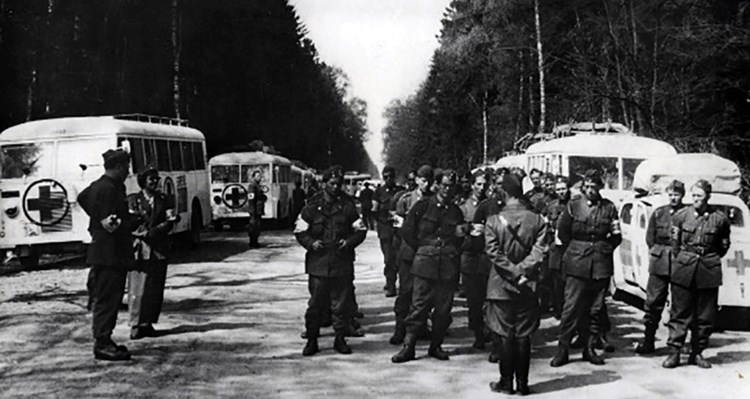 Vita Bussarna- Os ônibus brancos