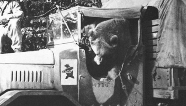 Wojtek12