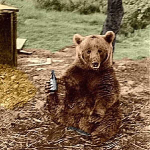 Wojtek13