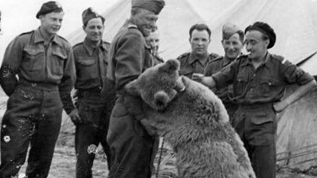 Wojtek14